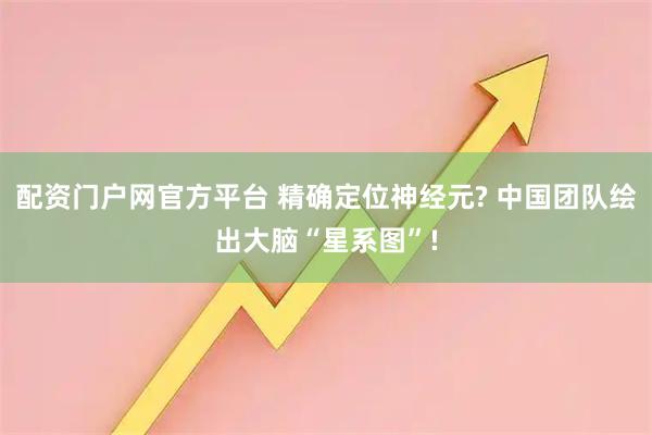 配资门户网官方平台 精确定位神经元? 中国团队绘出大脑“星系图”!